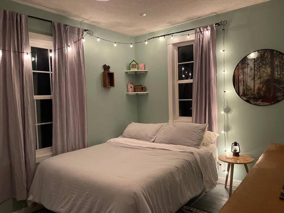 Solar Roof, Eco-friendly Holiday home Baltimore